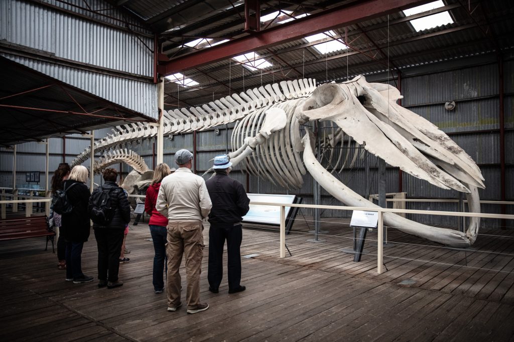 Albany's Historic Whaling Station at Discovery Bay, Albany