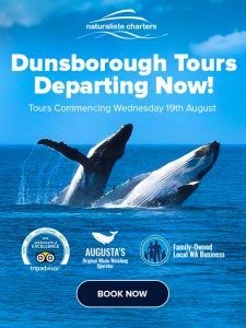 dunsborough tours - departing now