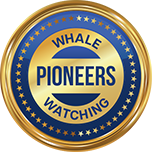 Pioneers in Whale Watching Tours Dunsborough