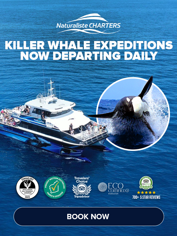 2023 Bremer Bay Whale Watching