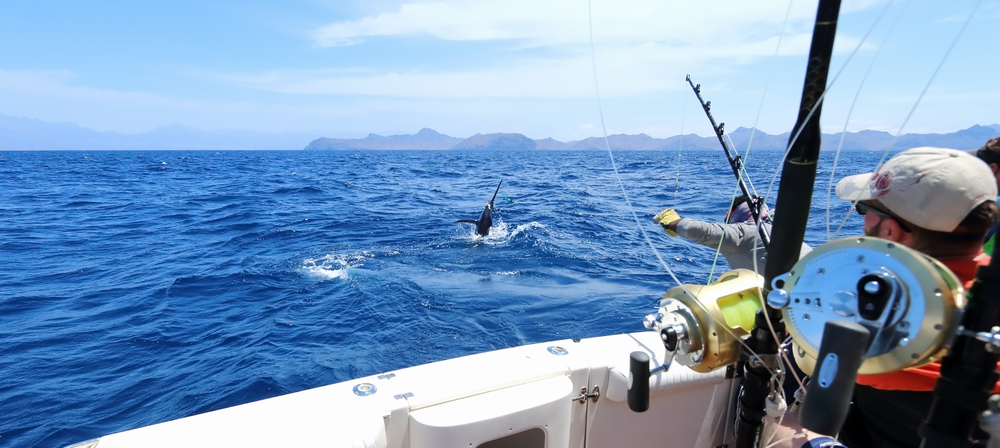 A man catching a Marlin during a fishing trip