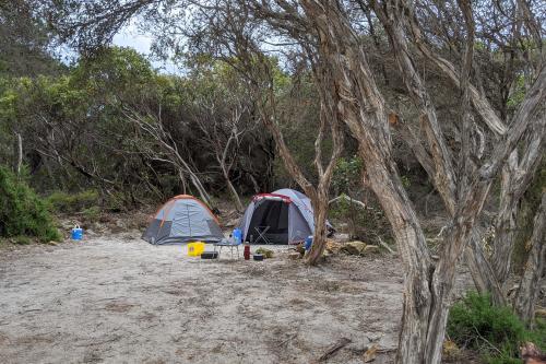 free camping in and near bremer bay in western australia