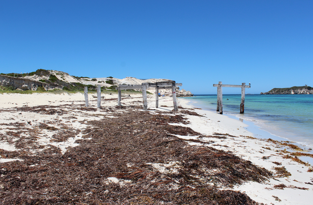 Hamelin Bay Beach is the drive off Caves Road
