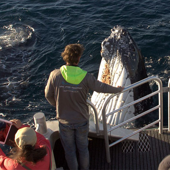 Behind the Scenes at Naturaliste Charters Whale Watching