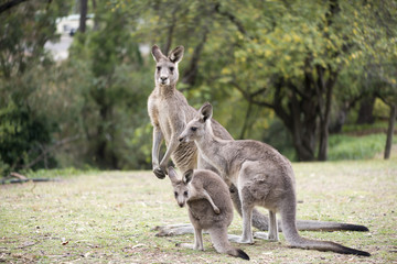 There are many bird and animal species to enjoy