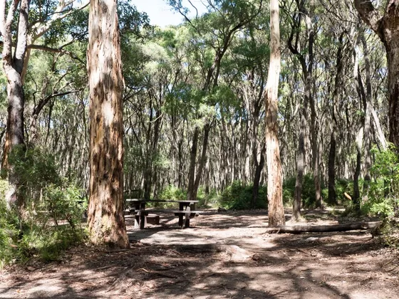 Best 5 Campgrounds in Margaret River