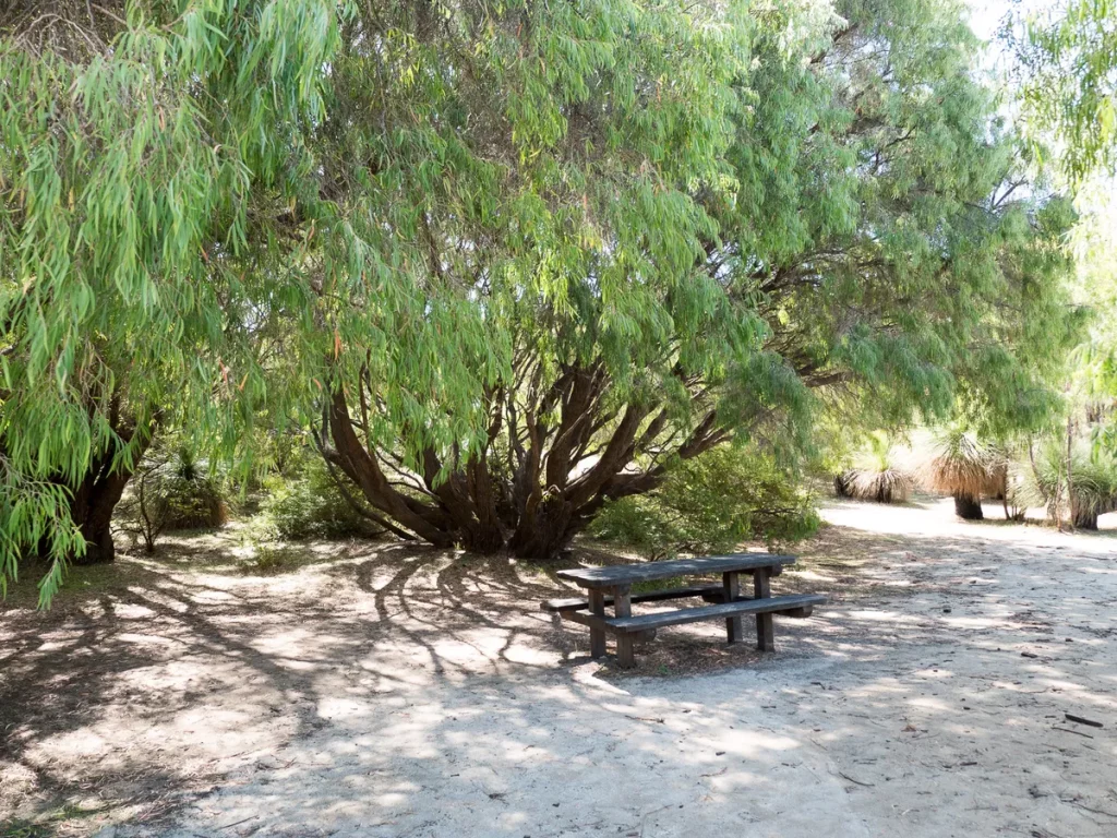 Conto's Campsite - Margaret River 