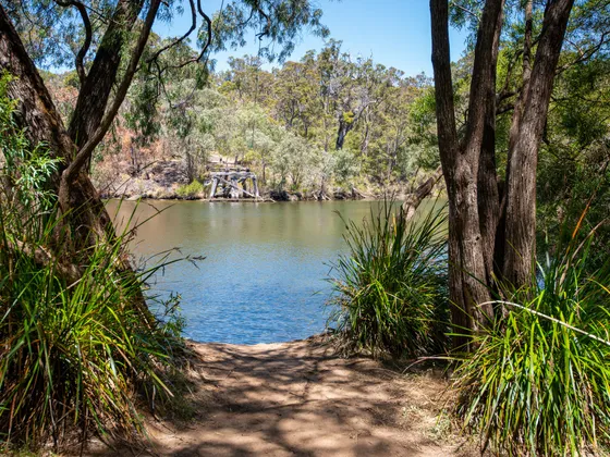 Alexandra Bridge Camping