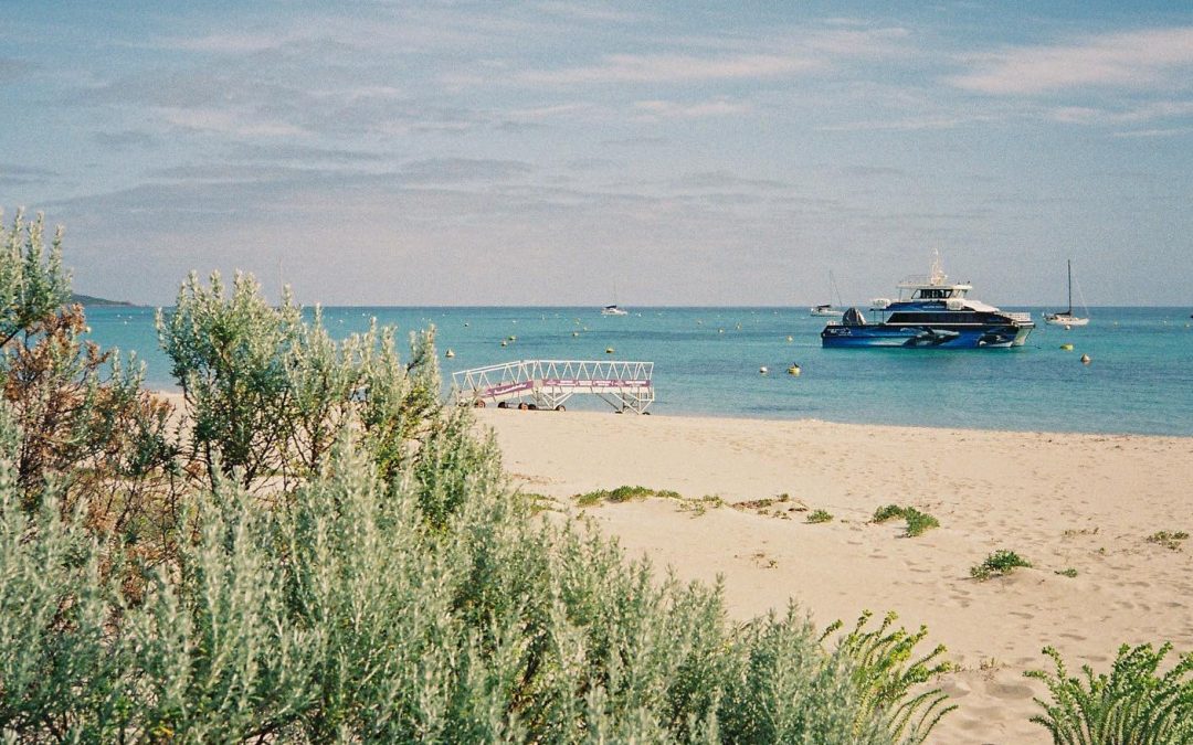 Best Whale Watching in Western Australia