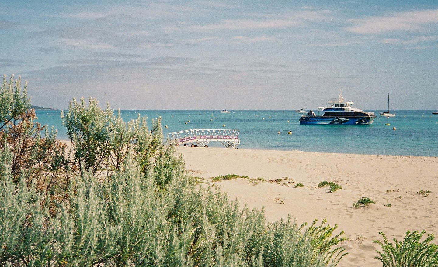 Best Whale Watching in Western Australia