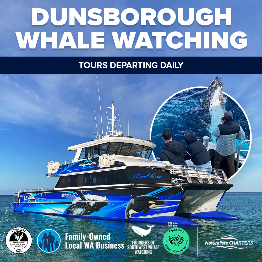 Dunsborough Whale Watching 2024