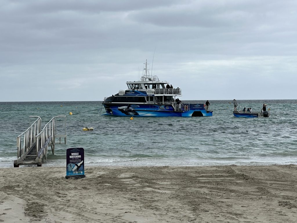 Beach Boarding at the Professional Fishermans Boat Ramp