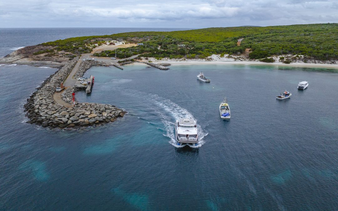 What to Expect on a Killer Whale Expedition from Bremer Bay