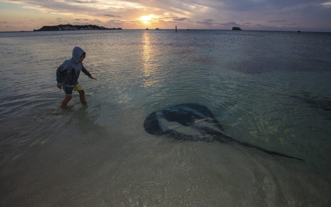 Family-Friendly Things to Do in the Margaret River Region