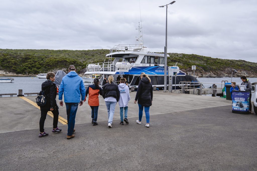 Augusta Whale Watching