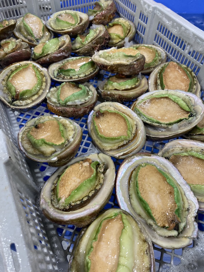 Abalone from Rare Foods