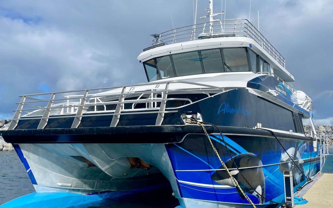 Charting New Waters – Naturaliste Charters Upgrade