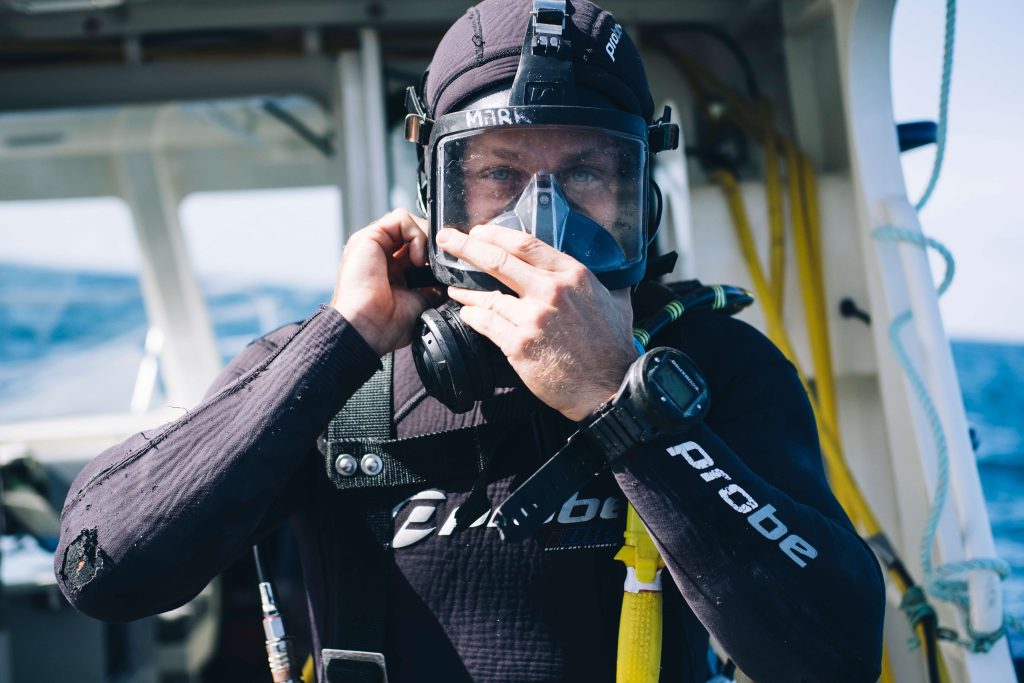 Get a 20% discount with your Whale Watching Tour at Subsea Cellar Door