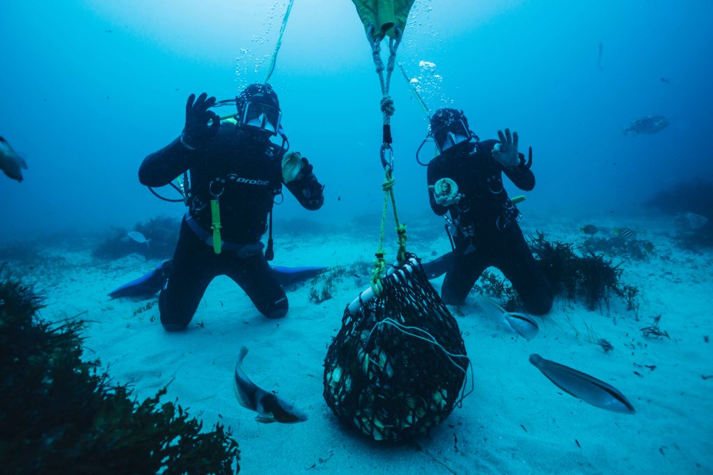 Subsea Estate Divers 
