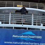 Naturaliste Charters Upgrades 12
