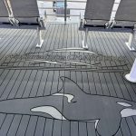 Naturaliste Charters Upgrades 15