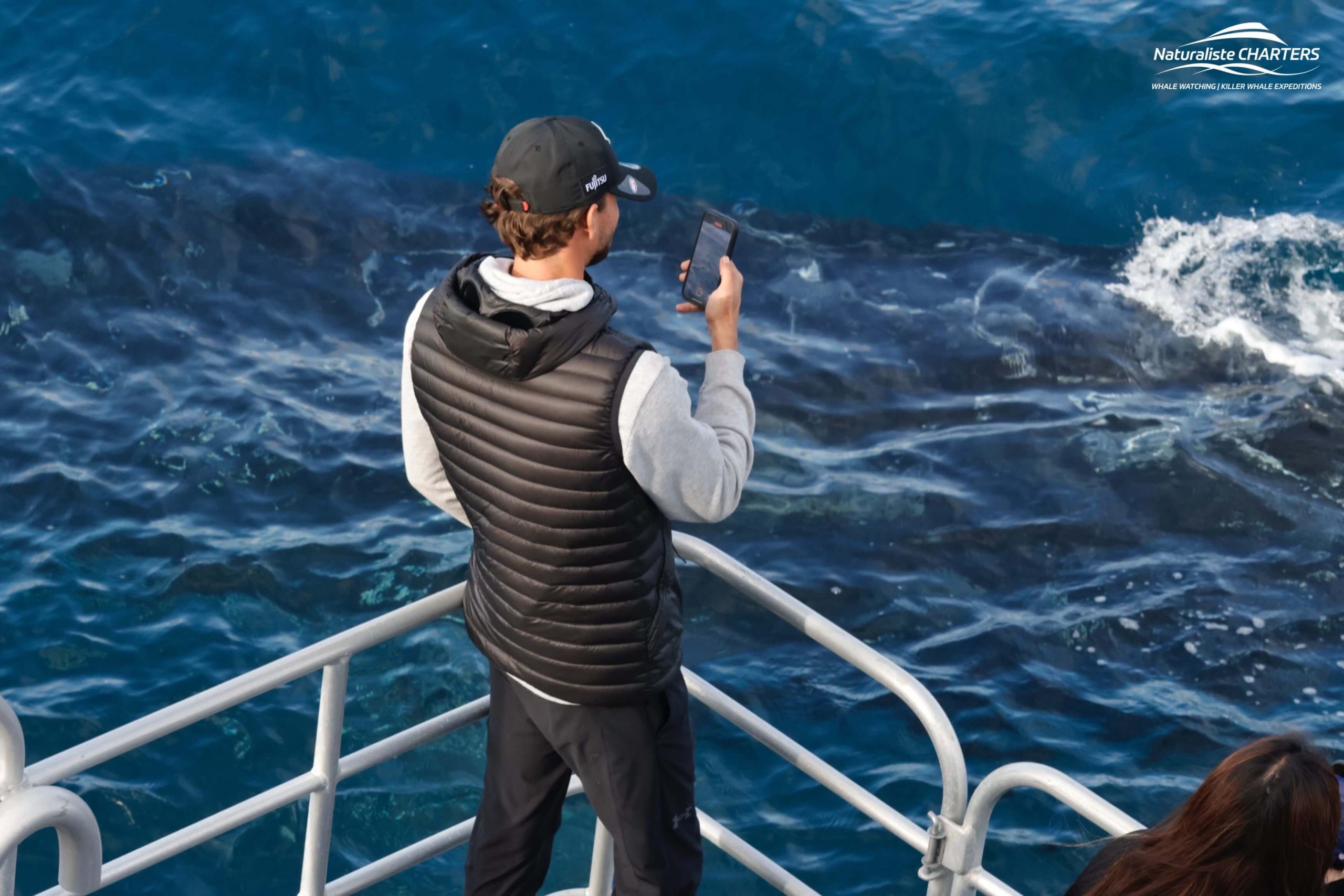 Let’s Go Whale Watching!