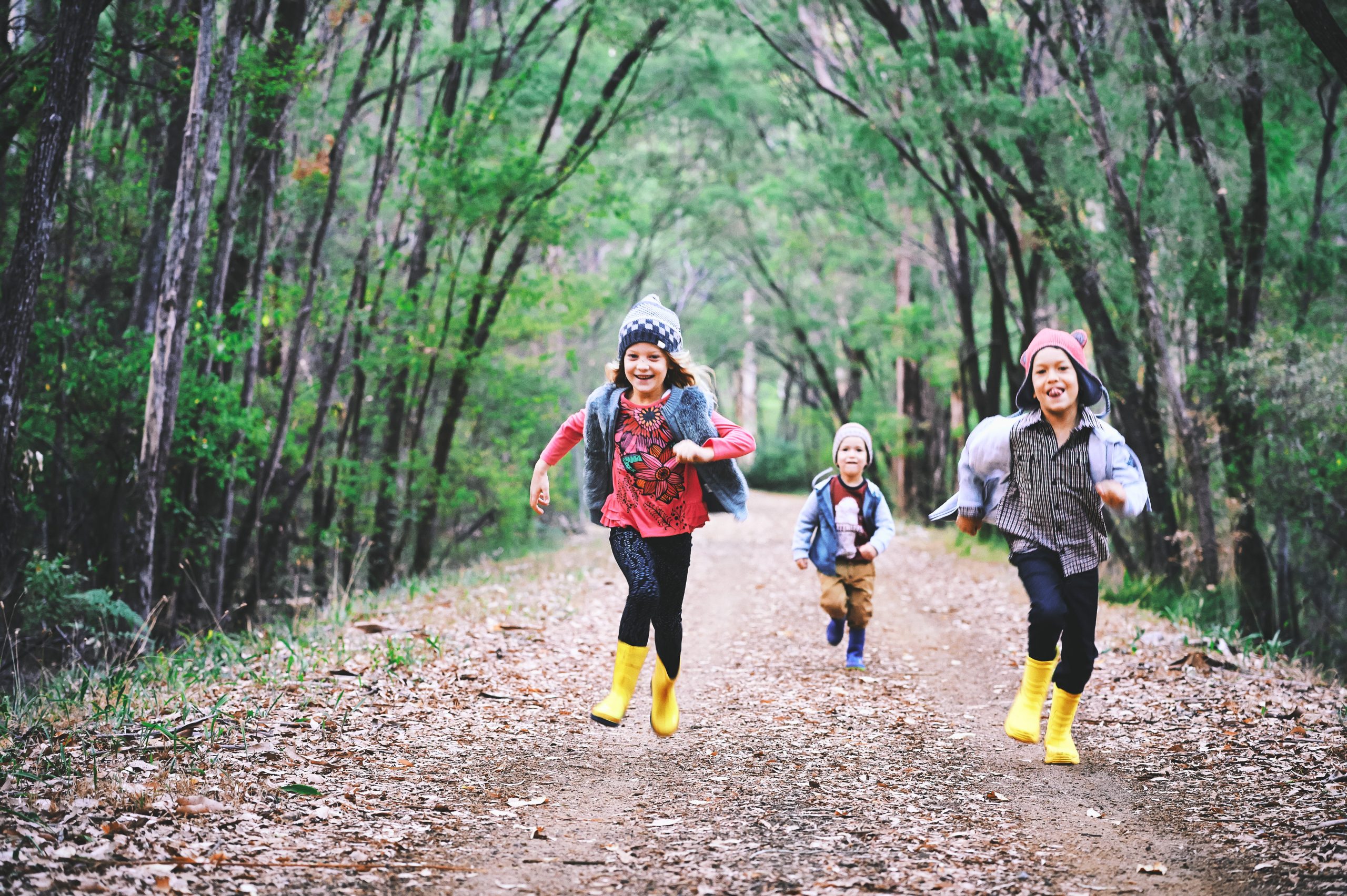 Top Activities For Kids in Dunsborough!