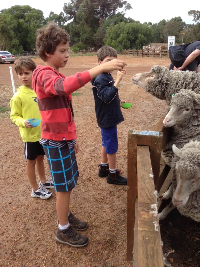 Top Activities For Kids in Dunsborough!