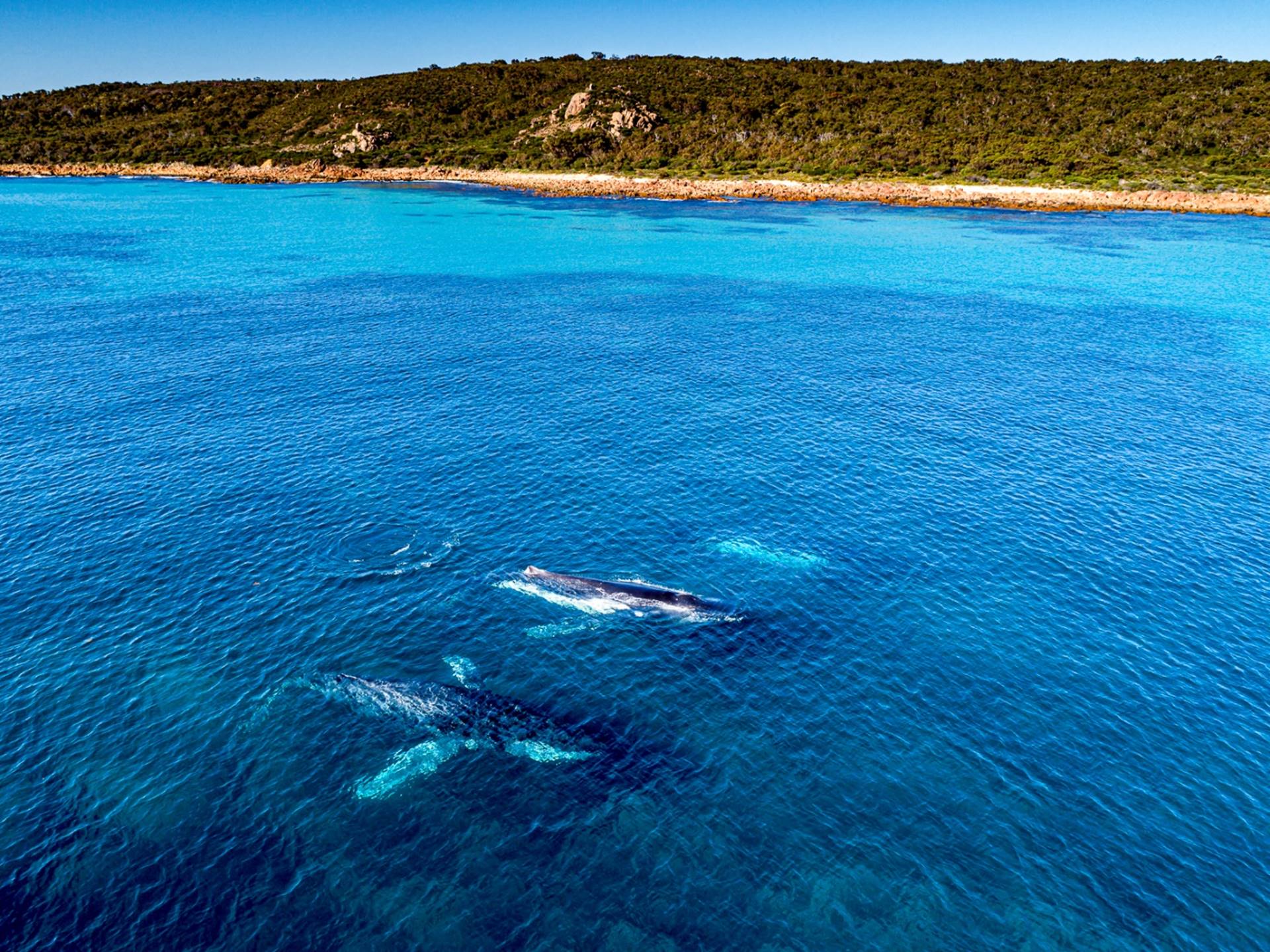 Top Activities For Kids in Dunsborough!