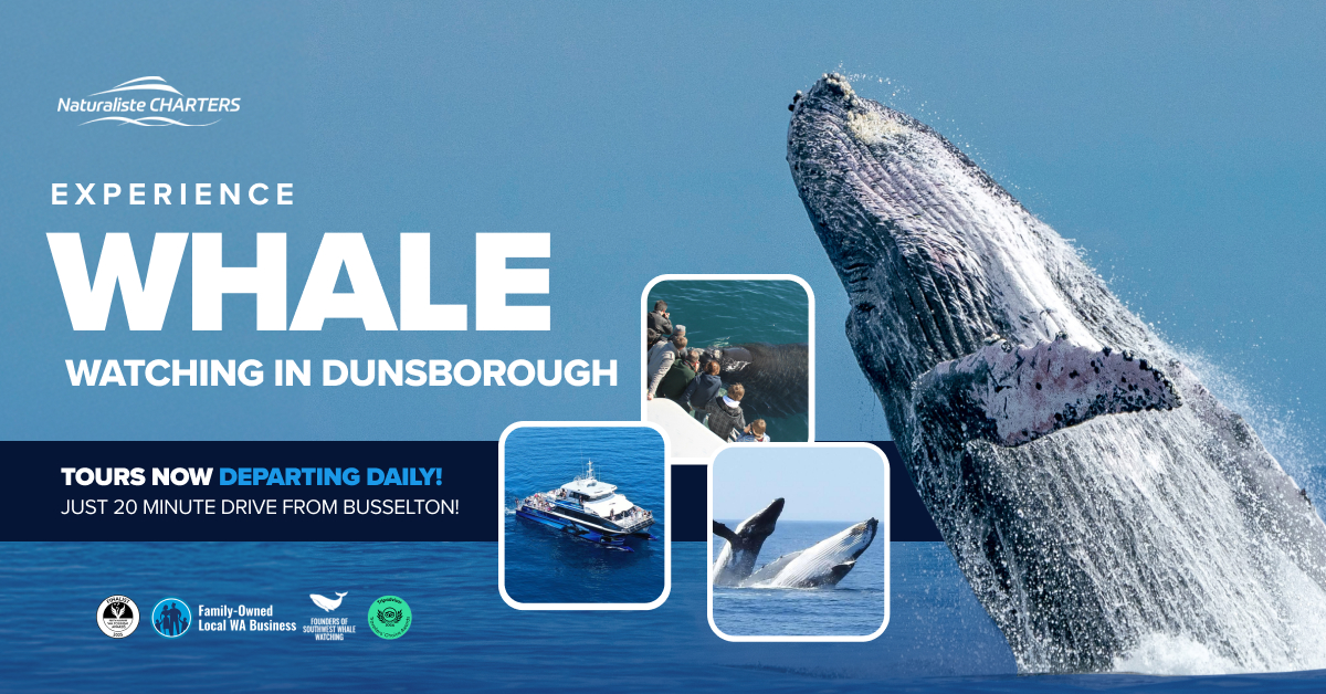 Whale Watching Dunsborough