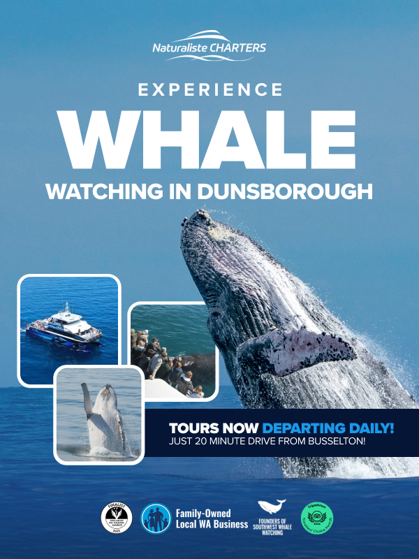 Whale Watching Dunsborough