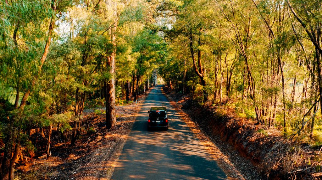 Boranup Forest, Margaret River Region