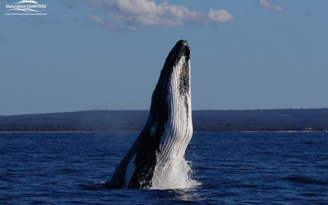Dunsborough 2025 Season Update