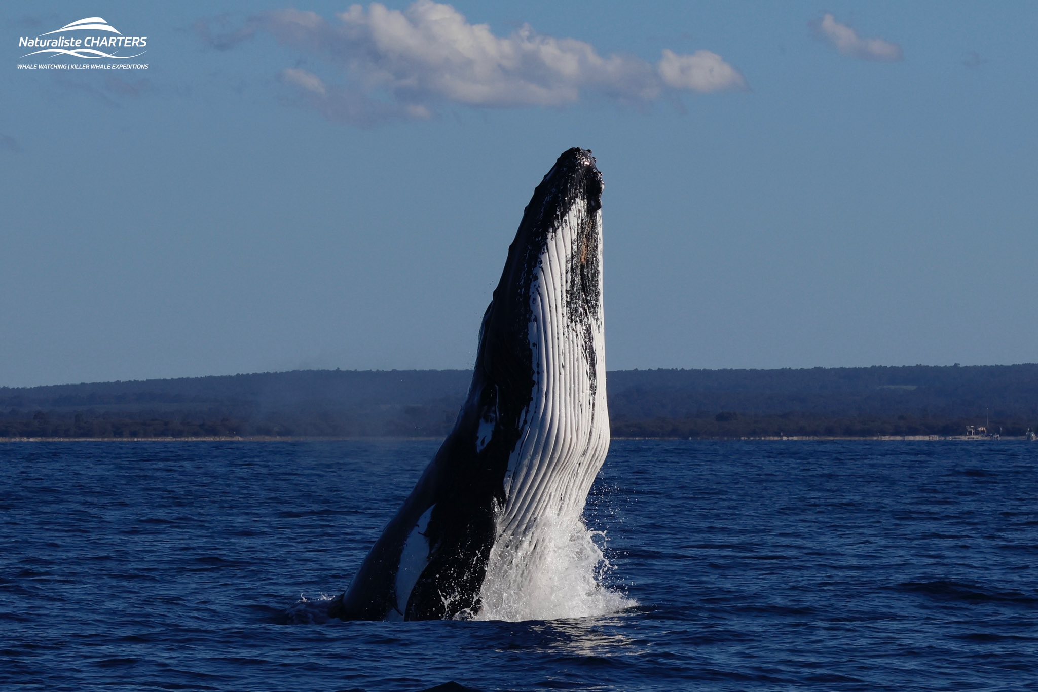 Dunsborough 2025 Season Update