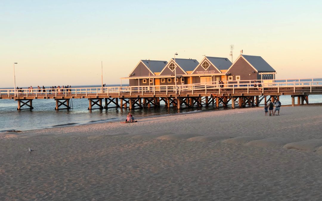 Your Busselton Whale Watching Guide