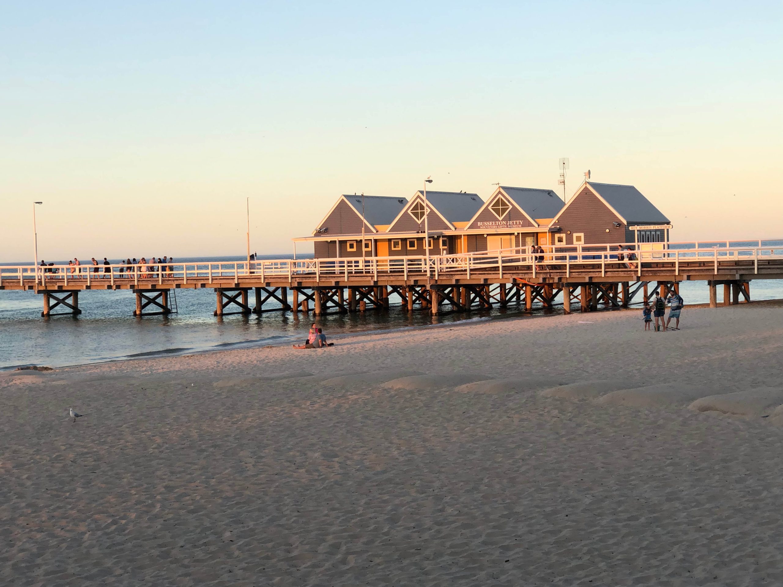 Your Busselton Whale Watching Guide