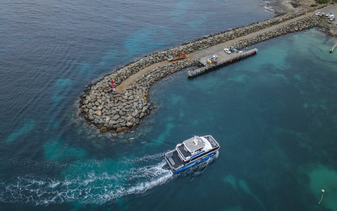 Why This Canyon Is Australia’s Killer Whale Capital